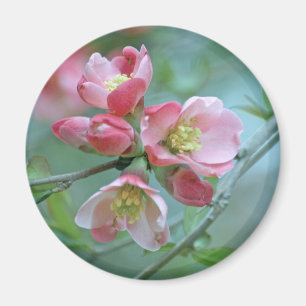 Magnet Apple Blossom #P0356