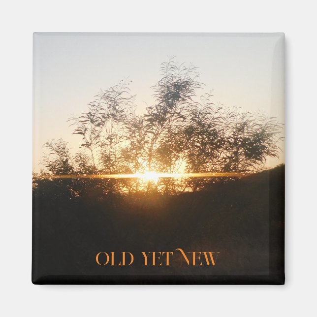 MAGNET ART&DESIGN DECORATION STYLES (Front)