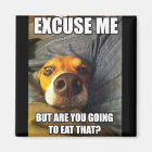 MAGNET AVEC DES DISCUSSIONS