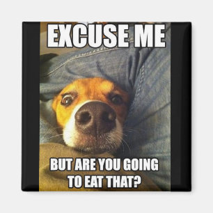 MAGNET AVEC DES DISCUSSIONS