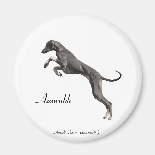 MAGNET Azawakh 2 (Devant)