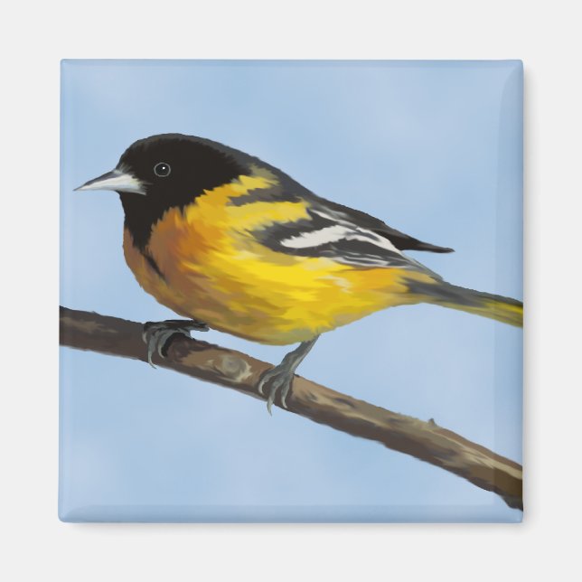 Magnet Baltimore Oriole (Devant)