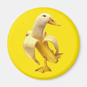 Magnet Banana Duck Meme