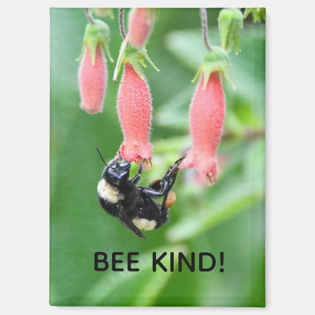 Magnet - Bee on Pink Flower (Front)