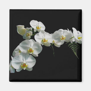 Magnet blanc orchidée