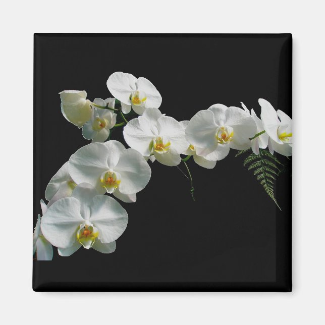 Magnet blanc orchidée (Devant)