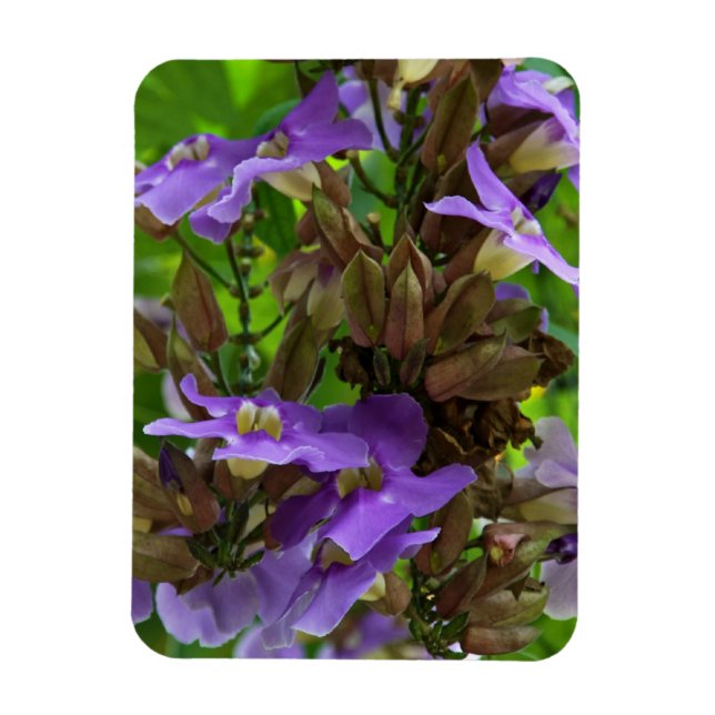 Magnet - Blue Ginger (Vertical)