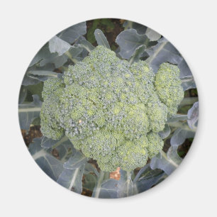 Magnet Broccoli