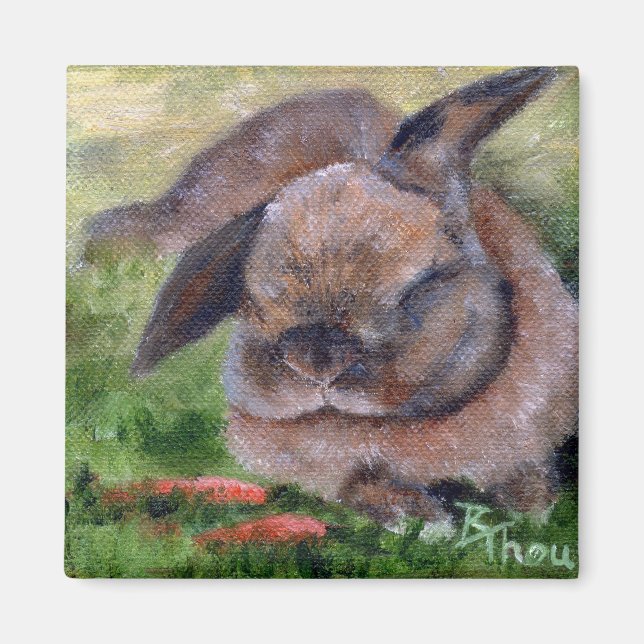 Magnet Bunny Dreams (Devant)