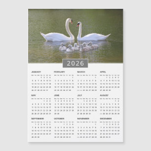 Magnet Calendrier cygne et cygnets 2026