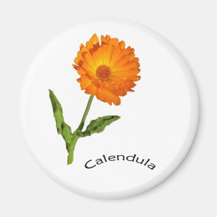 Magnet - Calendula et texte