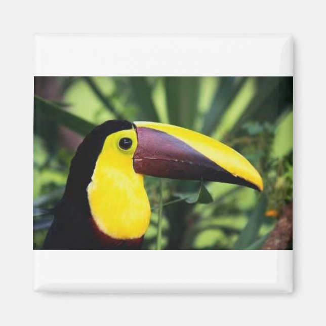 Magnet carré (Devant)