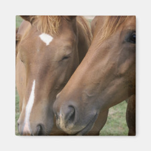 Magnet Carré de casse-tête