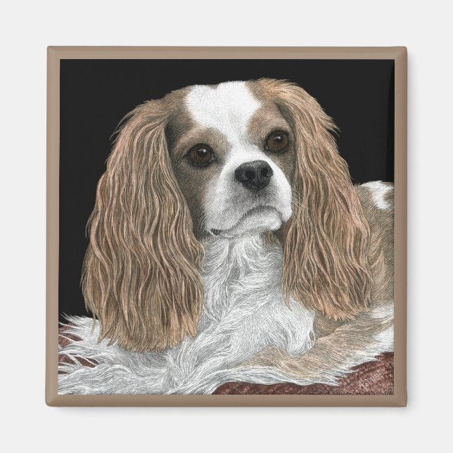 Magnet Cavalier King Charles Spaniel - "Bella" (Devant)