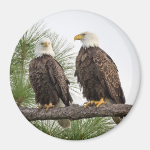 Magnet circulaire H&O (Diverses Tailles Disponible