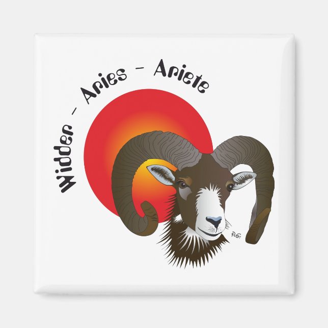 Magnet (constellation) (Devant)