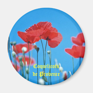 Magnet coquelicot