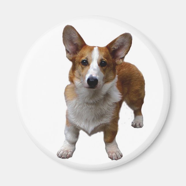 MAGNET: Corgie Dog Magnet (Front)