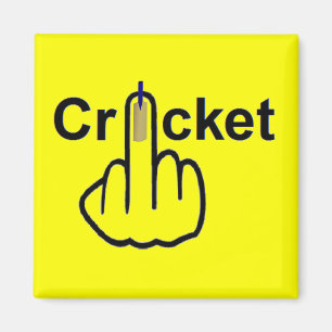 Magnet Cricket Flip