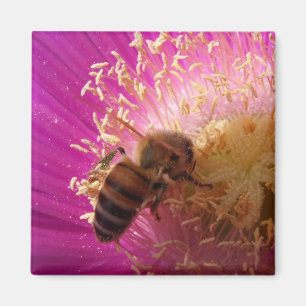 Magnet d'abeille