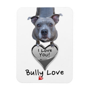 Magnet d'amour de Pitbull Bully