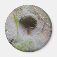 Magnet d'araignée Web du tunnel européen