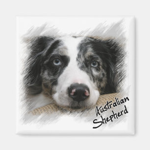 Magnet de berger australien