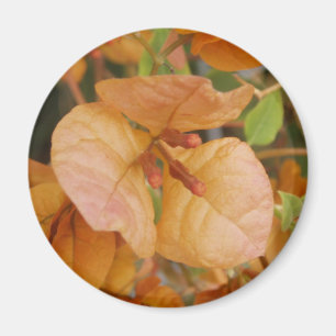Magnet de bougainvilliers orange