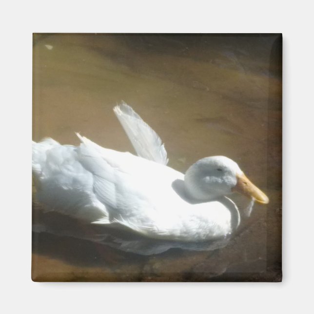 Magnet de canard (Devant)
