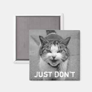 Magnet de chat de crabe
