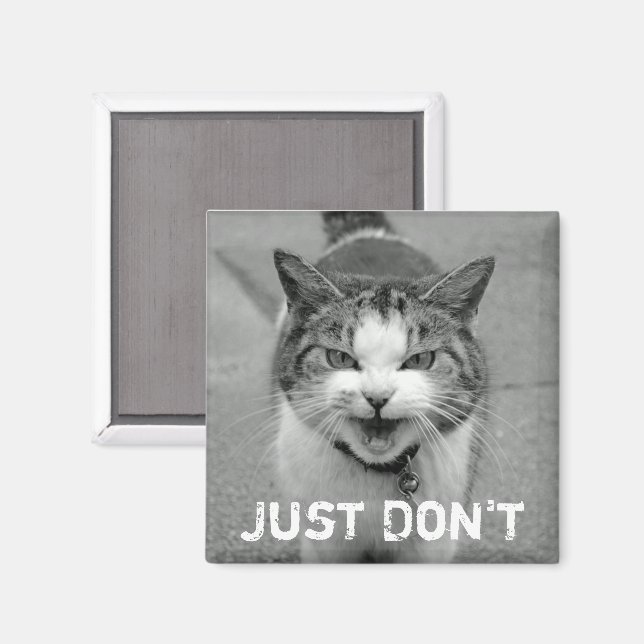 Magnet de chat de crabe (Recto/Verso)