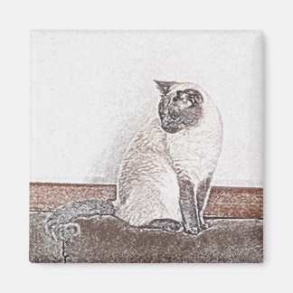 Magnet de chat de Siamese