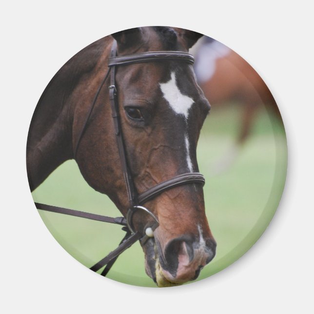 Magnet de cheval arabe mignon (Devant)