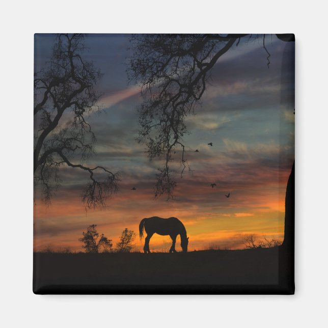 Magnet de Cheval du Sud-Ouest (Devant)