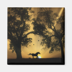 Magnet de chevaux libres Super Jolie Galloping