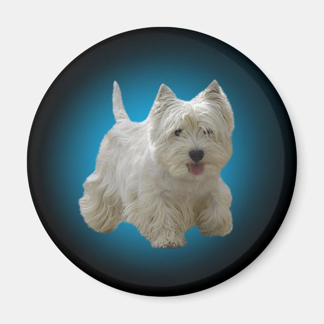Magnet de chien maltais blanc mignon (Devant)