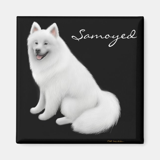 Magnet de chien Samoyé (Devant)
