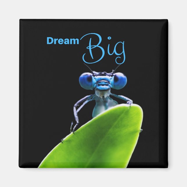 Magnet de citation motivationnelle de la libellule (Devant)