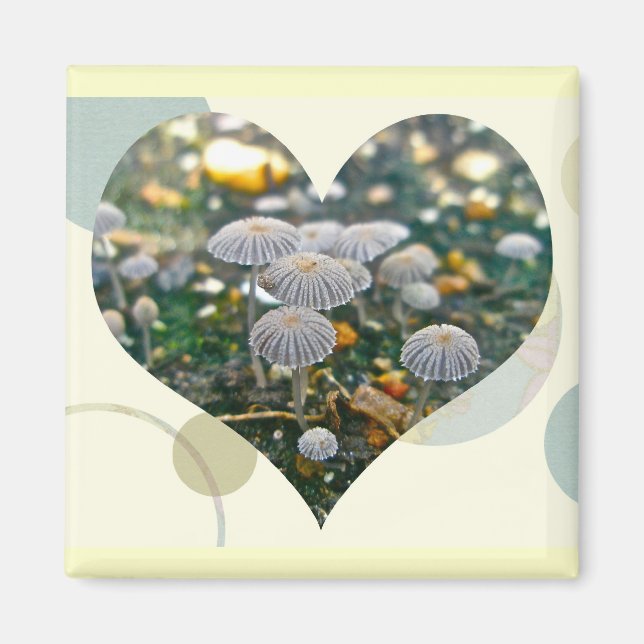 Magnet de coeur du jardin du champignon (Devant)