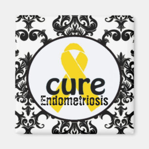 Magnet de conscience d'endométriose