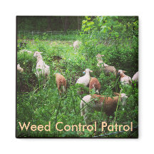Magnet de contrôle des mauvaises herbes