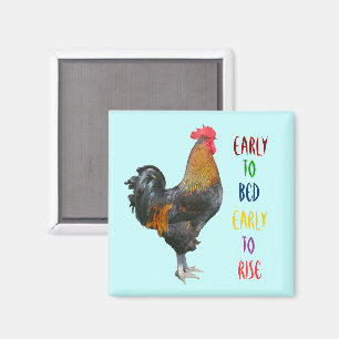 Magnet de coq coloré
