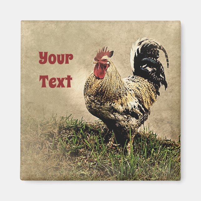 Magnet de coq de poulet du pays (Devant)