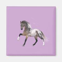 Magnet de course du cheval de peinture