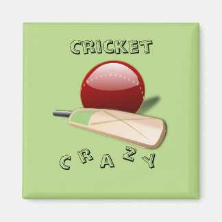 Magnet de cricket