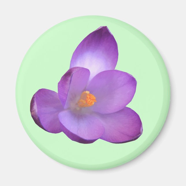 Magnet de Crocus (Devant)