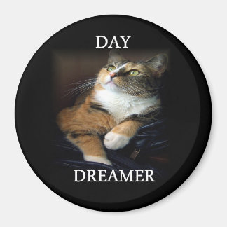Magnet de Dreamer Day