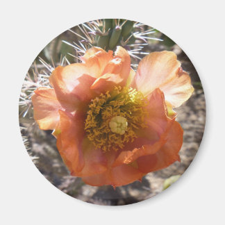 Magnet de fleur de pêche au cholla