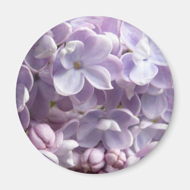 Magnet de fleurs Lilac (Devant)