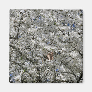 Magnet de frigo Mirabelle Blossom